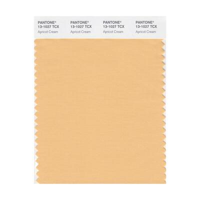 Pantone潘通色卡TCX棉布色卡