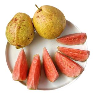 【童年小芭乐】香软甜红心番石榴小土芭乐罕见水果新鲜儿时味道