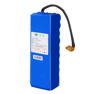 领奥儿童智能电动自平衡车36V通用锂电池组55V原装专用电池零配件