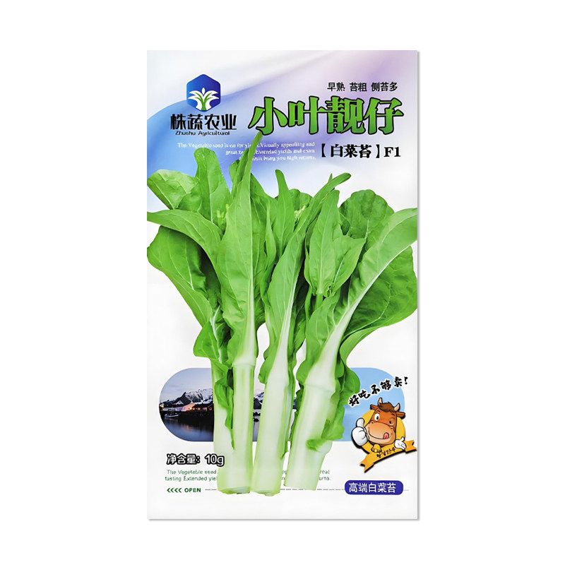 株蔬小叶靓仔白菜苔种子