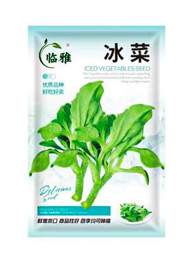 适合春天种的速生蔬菜籽大全