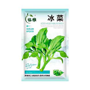 适合春季种的菜籽蔬菜种子大全四季春天春播农家蔬菜种籽空心冰菜