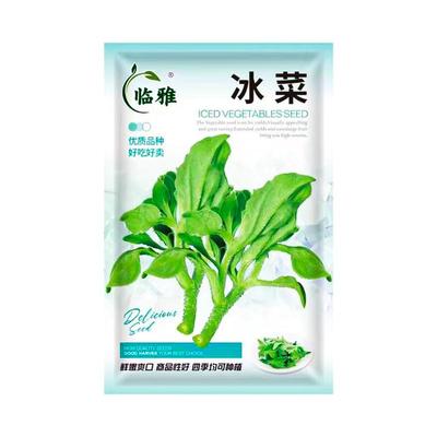 适合秋天种的速生蔬菜籽大全