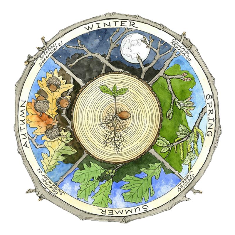 塔罗桌布 四季元素绒布 塔罗牌垫 罗牌桌布 桌垫 神秘娱乐