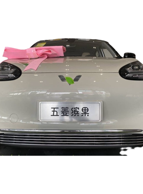 五菱缤果中网改装防虫网装饰配件