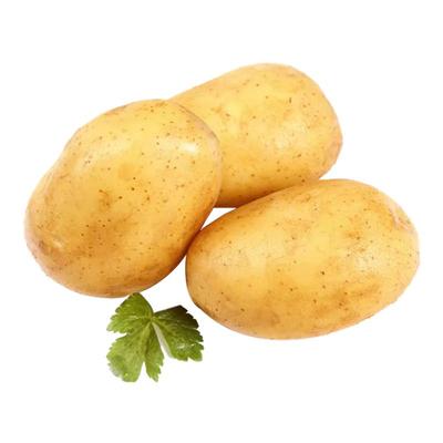 黄皮小土豆整箱包邮力荐