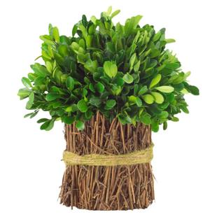 永生黄杨绿植家居桌面风干真花树枝装饰摆件客厅天然干花花束摆设