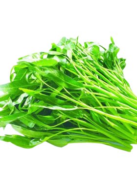 【割完又长】三叉空心菜耐热青菜新鲜当季蔬菜通心菜蕹菜多次采收