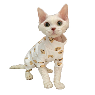卡通小熊四脚衣无毛猫衣服斯芬克斯猫德文衣服纯棉薄打底地暖房