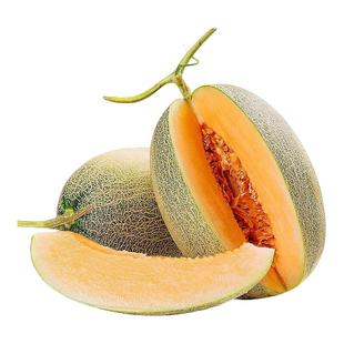 2025正宗海南哈密瓜脆甜新鲜晓蜜网纹瓜西州蜜甜瓜现摘水果包邮