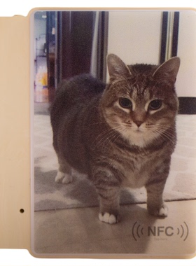 三角洲哈基米赛马娘猫灯箱冰箱贴