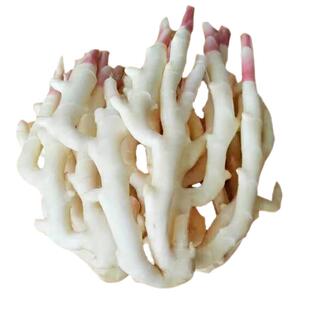 湖南江永香姜做菜炒菜用生姜菜姜老姜批发月子姜非腌制用嫩子姜