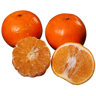 四川春见耙耙柑新鲜大果橘子应季粑粑干当季水果丑柑整箱包邮