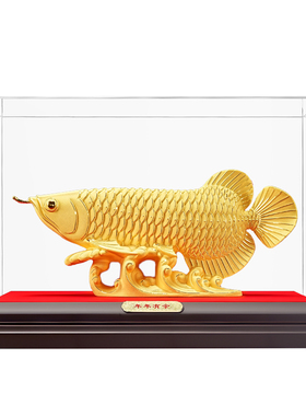 绒沙金招财金龙鱼高端大气上档次