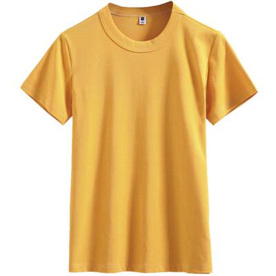 2025新款纯色短袖t恤紧身chic