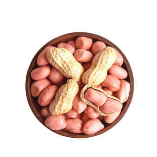 鲁花11高产早熟花生种子矮杆薄壳大粒抗病虫耐旱涝榨油专用可留种