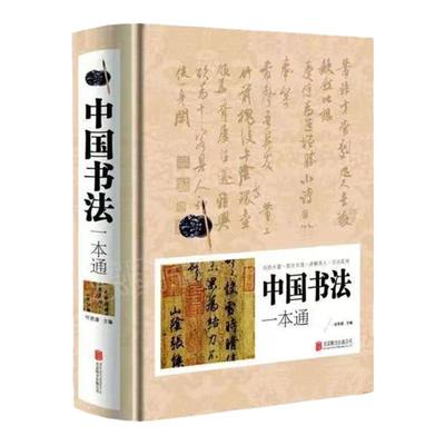 中国书法一本通正版精装书法简明史篆书楷书入门167个练习方法书法有法王羲之欧阳询书法一点通技法源流十讲教程书法字典大全