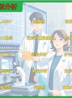 R语言代做rstudio统计时间序列stata实证分析服务python代码编写