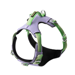 韩国Needypaw狗狗胸背牵引绳工字背带胸背中大型犬防爆冲拉夫平替