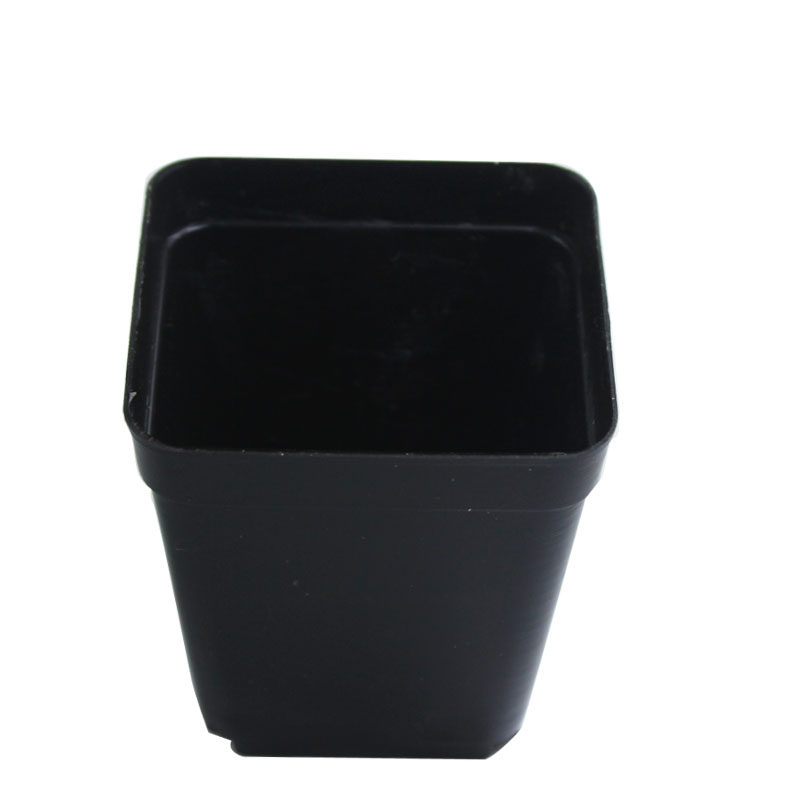 黑方塑料简约特小育苗盆叶插5cm