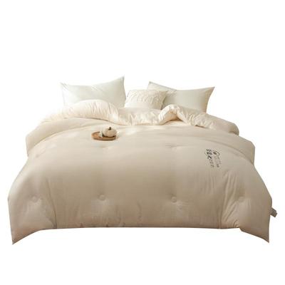 冬被加厚保暖棉被被褥2024新款