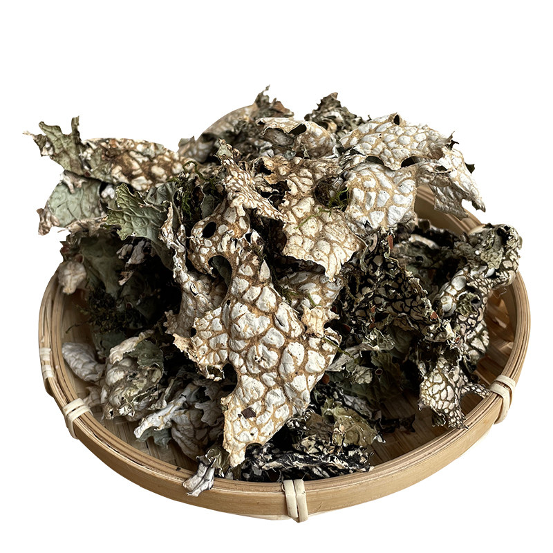 云南特产野生树皮菜青蛙皮树蝴蝶凉拌下饭菜山野蔬菜干货野味干菜