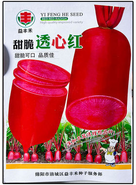 甜脆透心红心红皮长萝卜蔬菜种子孑籽别名莱菔可生吃鲜食秋冬播种