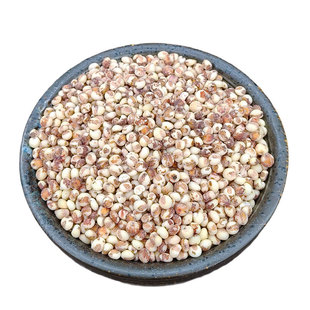 东北红粘高粱米5斤新米糯米饭现磨去皮糍粑酿酒食材五谷杂粮米粥