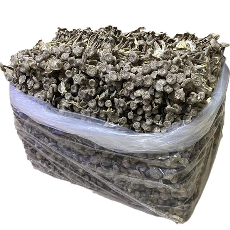 鹿茸菇特级干货500g福