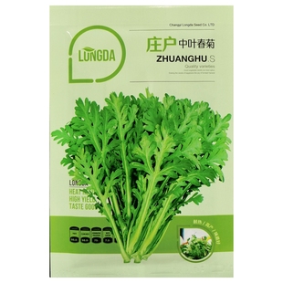 庄户中叶春菊茼蒿种子同蒿蓬蒿菜菊花菜塘蒿子杆鹅菜皇帝菜籽20克