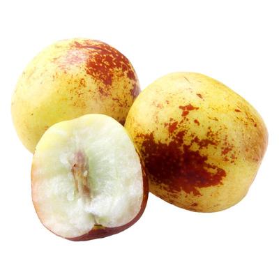 冬枣苗矮化沾化冬枣果大脆甜山东