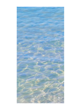 蓝色水波锦鲤静电免胶玻璃窗贴