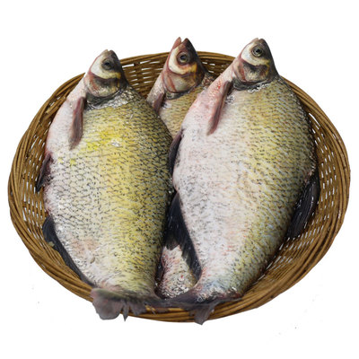 微山湖新鲜武昌活鱼现杀极速发货