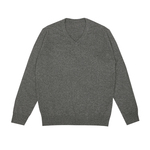 鹿王100%山羊绒衫男士V领套头纯色简约百搭亲肤保暖25年秋冬新款