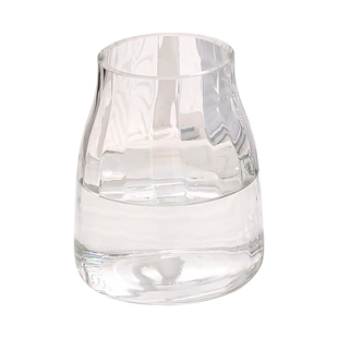 现代简约高级感网红花瓶客厅玻璃透明水养鲜花玫瑰花玄关花器装饰