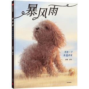 【正版书籍】暴风雨：寻找一个永远的家（精装绘本《纽约时报》十佳绘本《独生小孩》作者全新力作）