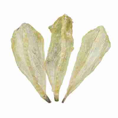 淡晒沙丁鱼柳烧烤油炸