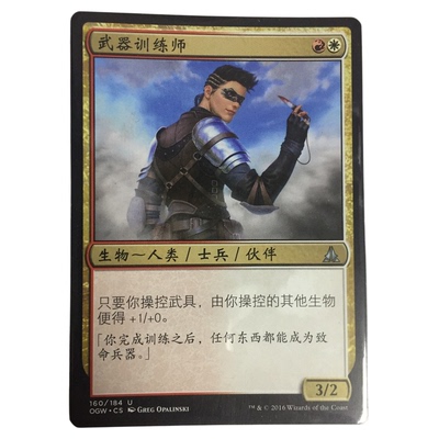 fantasy贴身内胆64*89mm卡套