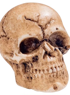 万圣节恐怖仿真骷髅头装饰品摆件