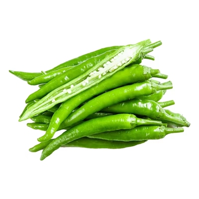 燎原正宗杭椒基地直供