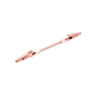 DIY简约桌面留言夹立式装饰便签夹照片夹子金属卡片夹可爱双头夹