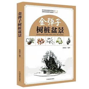 正版包邮 金弹子树桩盆景 金弹子盆景造型书 制作培育栽培造型技术参考书 全面论述金弹子的实力著作理论创作 书籍 中国林业出版社