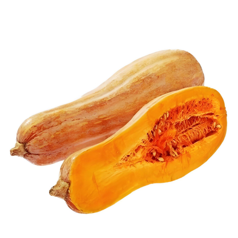 蜜本南瓜种子蔬菜种子
