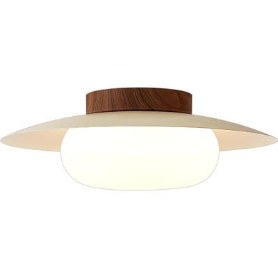 入户玄关阳台吸顶灯走廊过道灯具