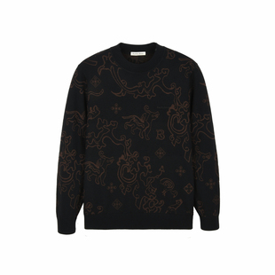 【专柜同款】RaidyBoer/雷迪波尔2025冬男半高领针织羊毛毛衣5001