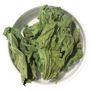 新鲜晒干桑叶正宗霜后天然野生桑树叶桑葚叶子泡水中草药材整片