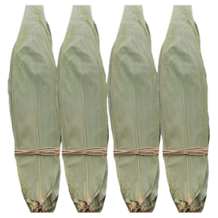 朕馋了粽叶粽子叶免邮新鲜干粽叶大号包粽叶子粽粑叶棕叶批发量大