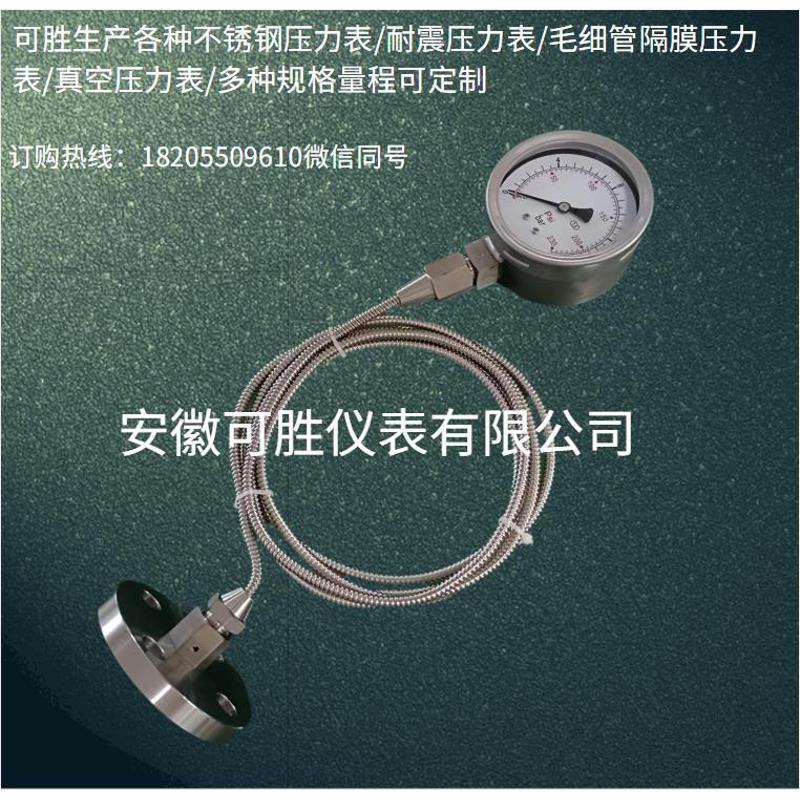 法兰DN25毛细软管延长连接不锈钢隔膜耐震压力表Y-100/0-60MPA