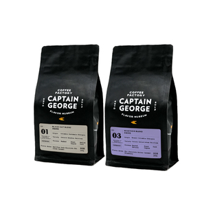 乔治队长 意式拼配浓缩咖啡豆套装 黑猫+疣猪组合尝鲜袋装200g*2