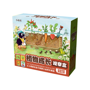 儿童种植小盆栽小花农植物生长观察盒科学实验套装阳光房种植玩具